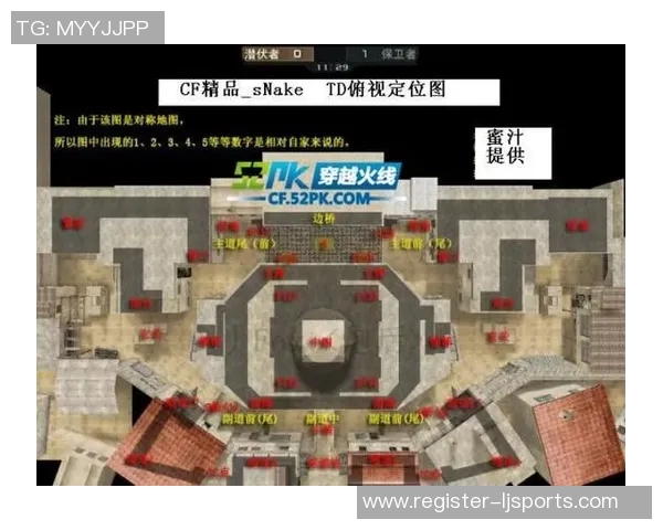 体育实时数据杭州排球队的战术节奏与团队协作分析探讨